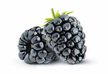 Black Raspberry